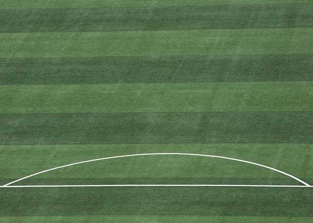 体表现却令 体表现却令