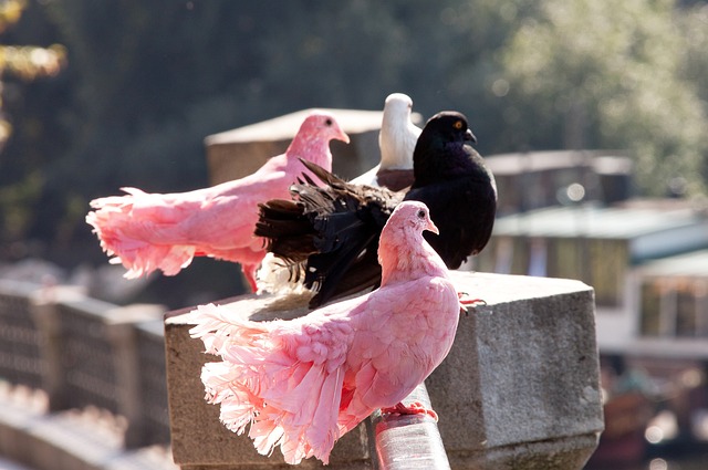 用出色的表 用出色的表