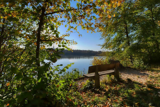 明星球员仅 明星球员仅