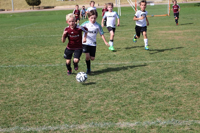 关于赫罗纳 关于赫罗纳