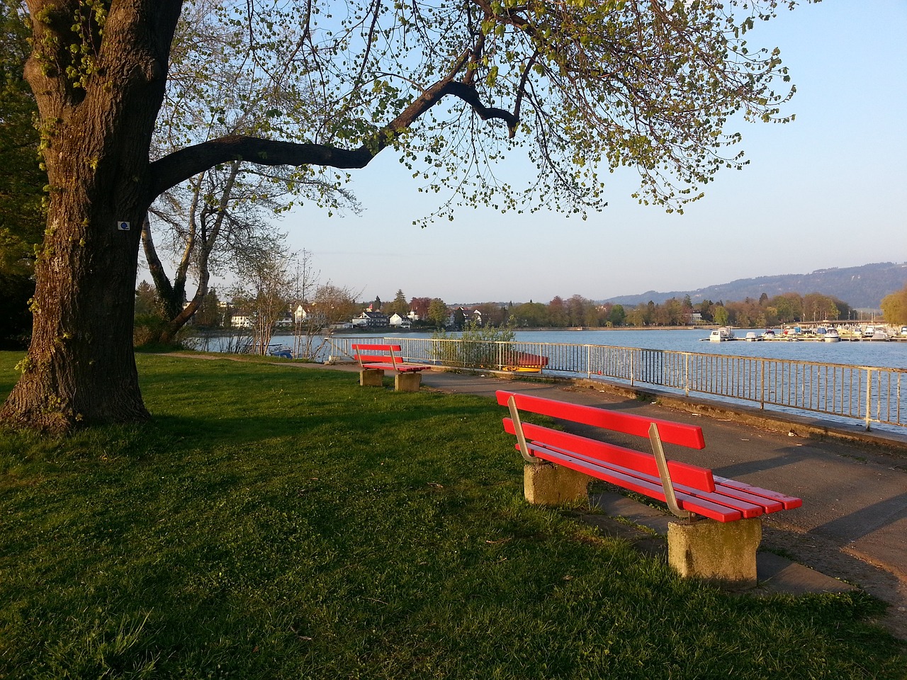 队友传球 队友传球