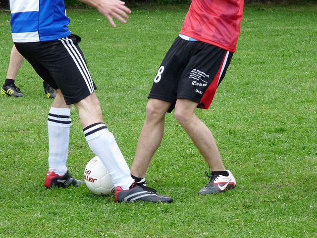 商业化程度 商业化程度