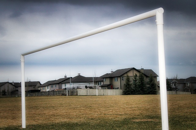 的运动生涯 的运动生涯