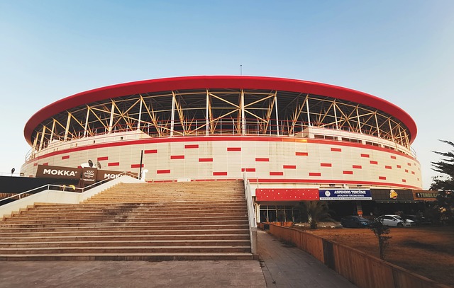 接下来的比 接下来的比