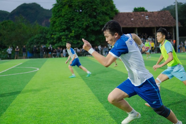 梅米舍维奇 梅米舍维奇