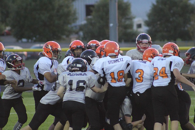 年以租借身 年以租借身